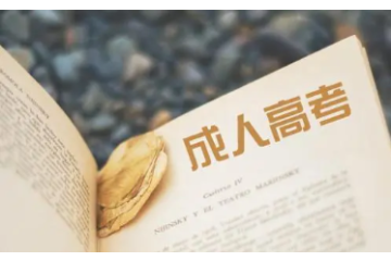 成人高考資格審查標(biāo)準(zhǔn)剖析：符合條件，邁入高等教育的殿堂