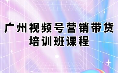 廣州視頻號(hào)營銷帶貨培訓(xùn)班課程